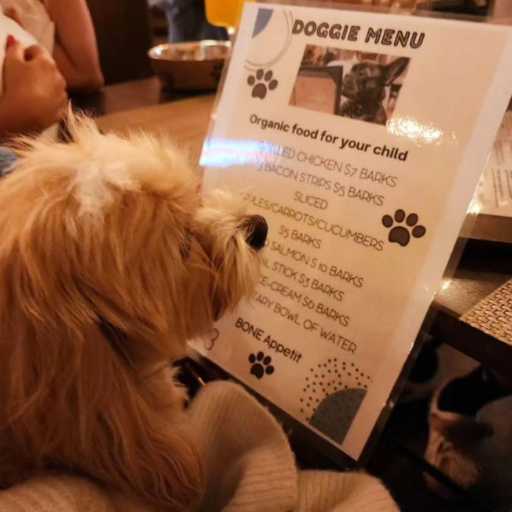 Dog Menu